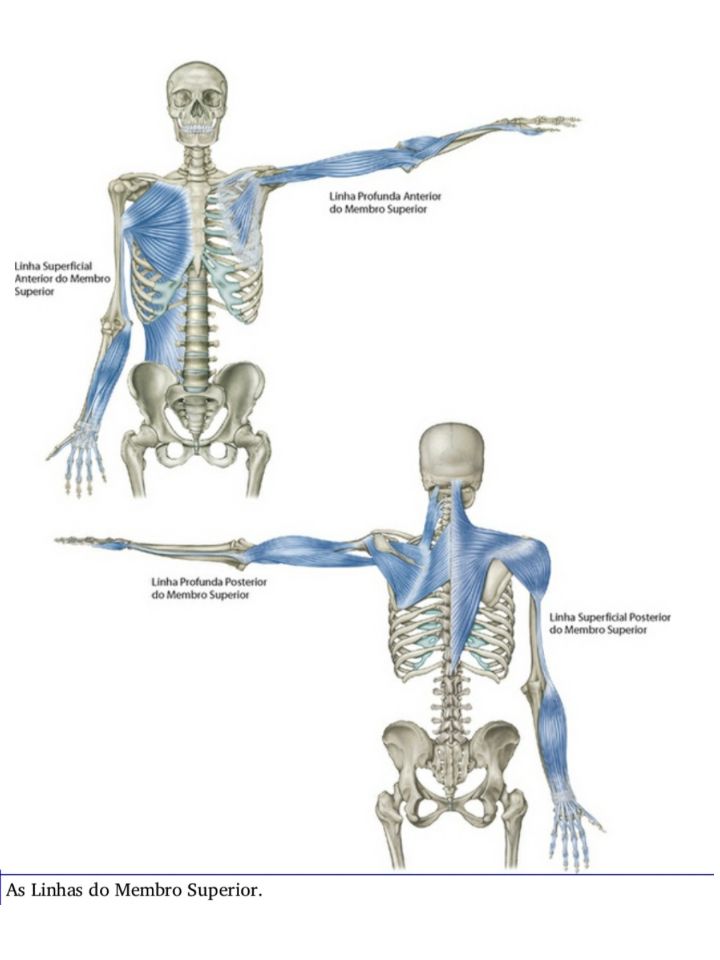Imagem do WhatsApp de 2024-08-17 à(s) 12.41.38_4f417581