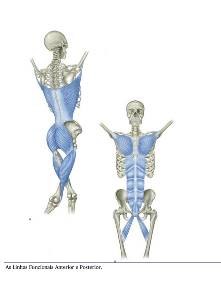 Imagem do WhatsApp de 2024-08-17 à(s) 12.55.44_006d819d